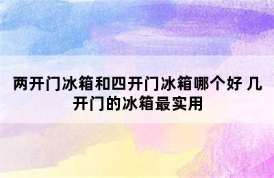 两开门冰箱和四开门冰箱哪个好 几开门的冰箱最实用